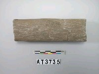 藏品(石杵)的圖片